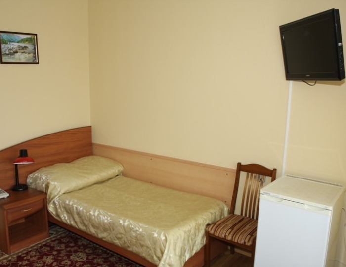 1-местный номер - Санаторий «Россия» Ессентуки