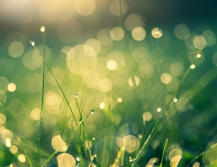 Программа выходного дня «Здоровый отдых» - Санаторий «Россия» Ессентуки