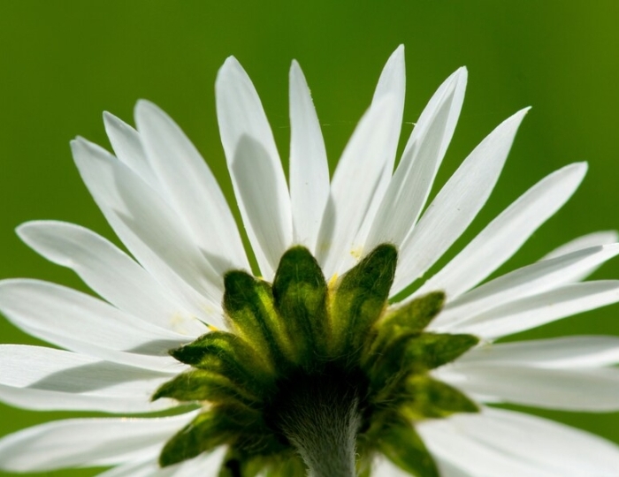 Программа «Релаксация» - Санаторий «Россия» Ессентуки