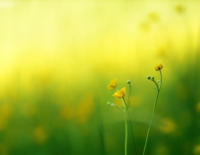 Программа «Легкая походка» - Санаторий «Россия» Ессентуки